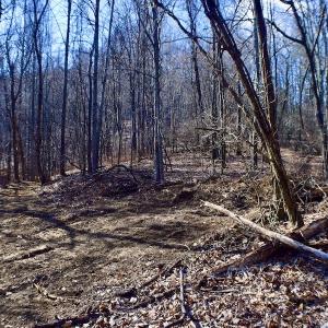 Photo #26 of Off Adventure Mountain Trail , Montvale, VA 216.9 acres
