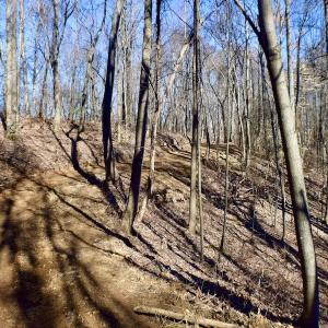 Photo #29 of Off Adventure Mountain Trail , Montvale, VA 216.9 acres