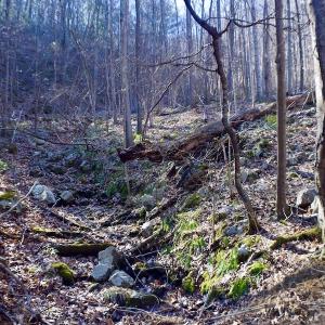 Photo #32 of Off Adventure Mountain Trail , Montvale, VA 216.9 acres