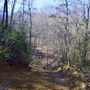 Photo #35 of Off Adventure Mountain Trail , Montvale, VA 216.9 acres