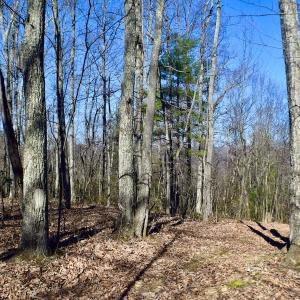 Photo #37 of Off Adventure Mountain Trail , Montvale, VA 216.9 acres