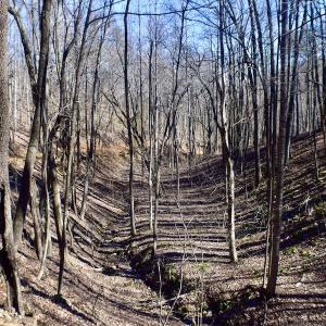 Photo #43 of Off Adventure Mountain Trail , Montvale, VA 216.9 acres