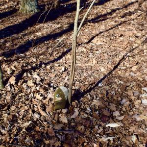 Photo #45 of Off Adventure Mountain Trail , Montvale, VA 216.9 acres