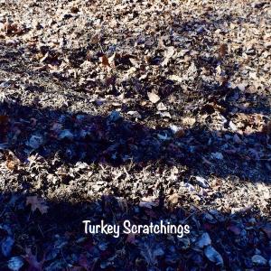 Photo #46 of Off Adventure Mountain Trail , Montvale, VA 216.9 acres