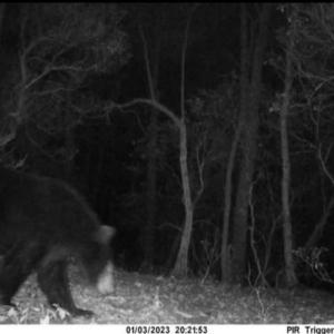 Photo #49 of Off Adventure Mountain Trail , Montvale, VA 216.9 acres
