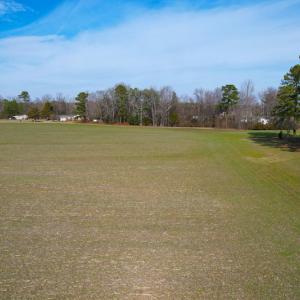 Photo #10 of SOLD property in Off Rolfe Hwy, Surry, VA 33.7 acres