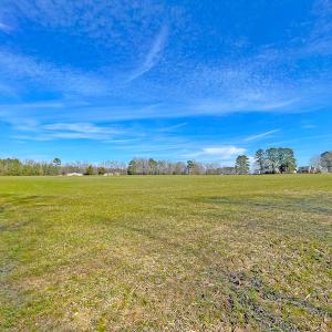 Photo #11 of SOLD property in Off Rolfe Hwy, Surry, VA 33.7 acres