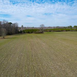 Photo #12 of Off Rolfe Hwy, Surry, VA 33.7 acres
