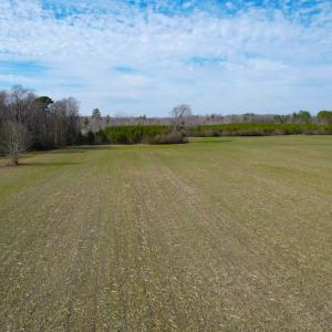 Photo #12 of SOLD property in Off Rolfe Hwy, Surry, VA 33.7 acres