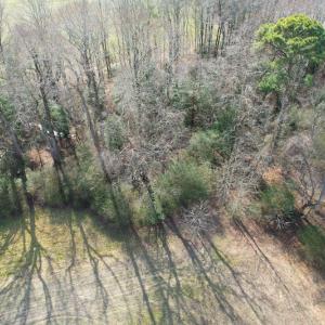 Photo #14 of SOLD property in Off Rolfe Hwy, Surry, VA 33.7 acres