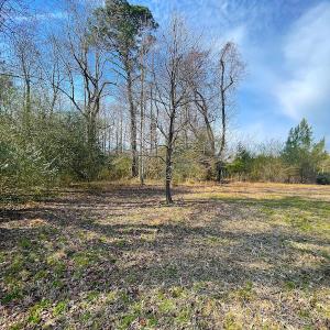 Photo #15 of Off Rolfe Hwy, Surry, VA 33.7 acres