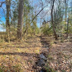 Photo #16 of Off Rolfe Hwy, Surry, VA 33.7 acres