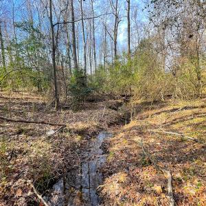 Photo #17 of SOLD property in Off Rolfe Hwy, Surry, VA 33.7 acres