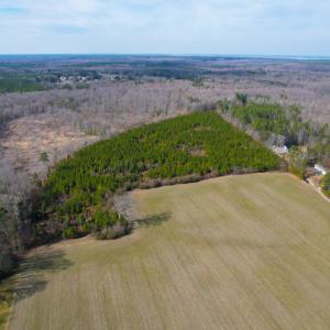 Photo #18 of SOLD property in Off Rolfe Hwy, Surry, VA 33.7 acres