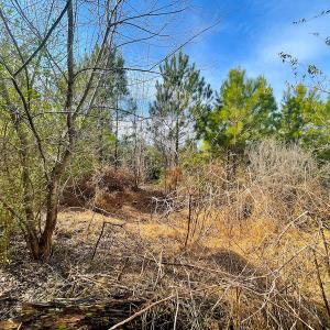 Photo #20 of Off Rolfe Hwy, Surry, VA 33.7 acres