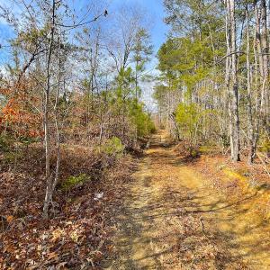 Photo #21 of SOLD property in Off Rolfe Hwy, Surry, VA 33.7 acres