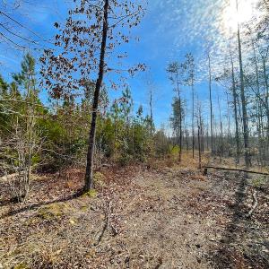 Photo #25 of Off Rolfe Hwy, Surry, VA 33.7 acres