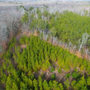 Photo #26 of Off Rolfe Hwy, Surry, VA 33.7 acres