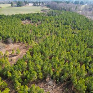 Photo #27 of Off Rolfe Hwy, Surry, VA 33.7 acres