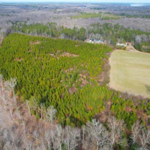 Photo #6 of SOLD property in Off Rolfe Hwy, Surry, VA 33.7 acres