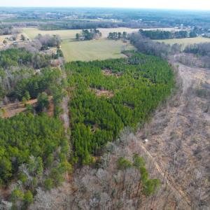 Photo #7 of SOLD property in Off Rolfe Hwy, Surry, VA 33.7 acres