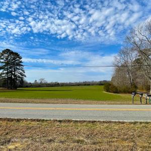 Photo #8 of SOLD property in Off Rolfe Hwy, Surry, VA 33.7 acres