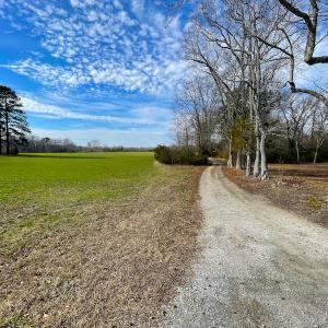 Photo #9 of Off Rolfe Hwy, Surry, VA 33.7 acres
