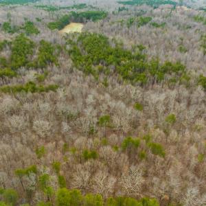 Photo #2 of SOLD property in Off Bowmantown Rd, Roxboro, NC 42.8 acres