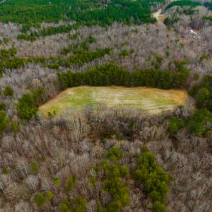Photo #7 of SOLD property in Off Bowmantown Rd, Roxboro, NC 42.8 acres