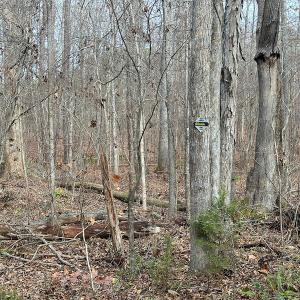 Photo #8 of SOLD property in Off Bowmantown Rd, Roxboro, NC 42.8 acres