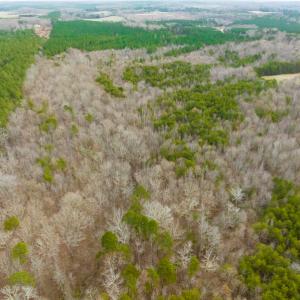 Photo #10 of SOLD property in Off Bowmantown Rd, Roxboro, NC 42.8 acres