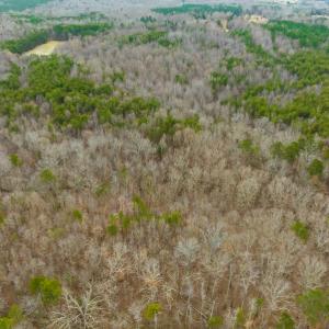 Photo #14 of SOLD property in Off Bowmantown Rd, Roxboro, NC 42.8 acres