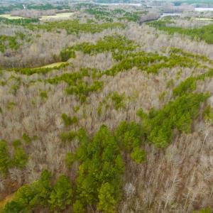 Photo #16 of SOLD property in Off Bowmantown Rd, Roxboro, NC 42.8 acres