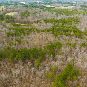 Photo #19 of SOLD property in Off Bowmantown Rd, Roxboro, NC 42.8 acres