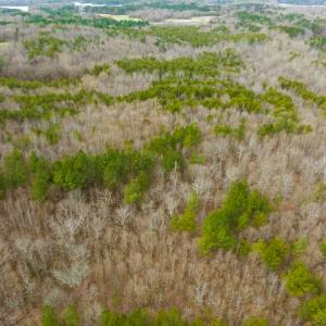 Photo #22 of SOLD property in Off Bowmantown Rd, Roxboro, NC 42.8 acres