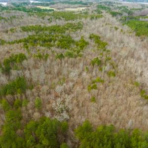 Photo #25 of SOLD property in Off Bowmantown Rd, Roxboro, NC 42.8 acres