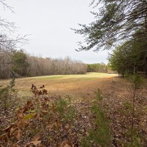 Photo #33 of SOLD property in Off Bowmantown Rd, Roxboro, NC 42.8 acres