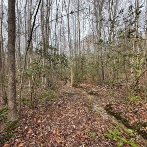 Photo #36 of SOLD property in Off Bowmantown Rd, Roxboro, NC 42.8 acres