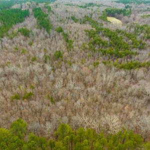 Photo #37 of SOLD property in Off Bowmantown Rd, Roxboro, NC 42.8 acres