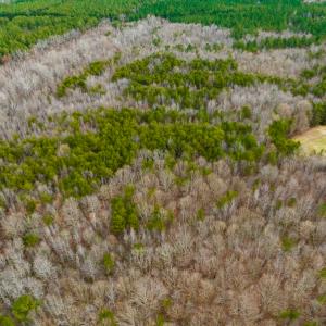 Photo #38 of SOLD property in Off Bowmantown Rd, Roxboro, NC 42.8 acres