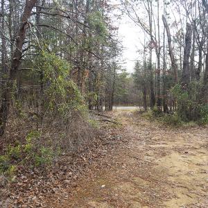 Photo #39 of SOLD property in Off Bowmantown Rd, Roxboro, NC 42.8 acres