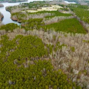 Photo #40 of SOLD property in Off Bowmantown Rd, Roxboro, NC 42.8 acres
