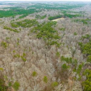 Photo #41 of SOLD property in Off Bowmantown Rd, Roxboro, NC 42.8 acres