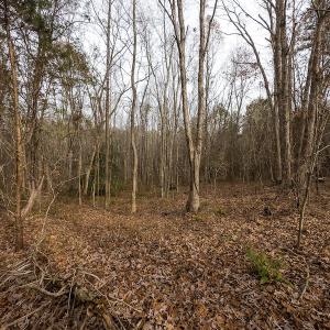 Photo #42 of SOLD property in Off Bowmantown Rd, Roxboro, NC 42.8 acres