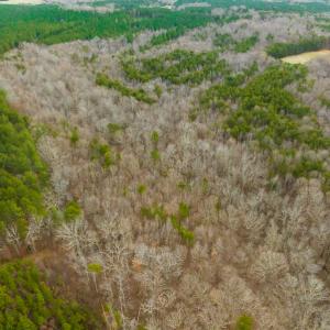 Photo #43 of SOLD property in Off Bowmantown Rd, Roxboro, NC 42.8 acres