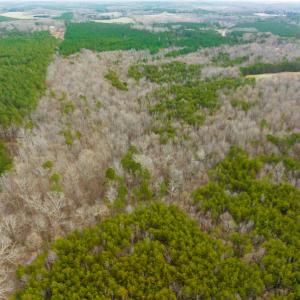 Photo #46 of SOLD property in Off Bowmantown Rd, Roxboro, NC 42.8 acres