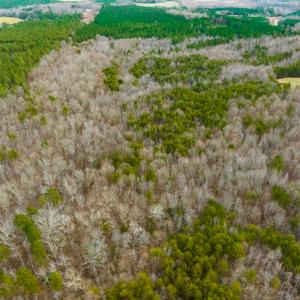 Photo #49 of SOLD property in Off Bowmantown Rd, Roxboro, NC 42.8 acres