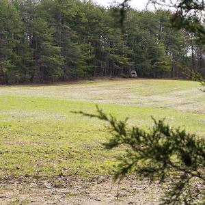 Photo #50 of SOLD property in Off Bowmantown Rd, Roxboro, NC 42.8 acres