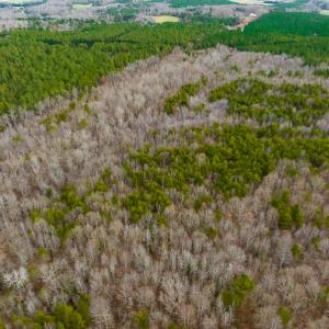 Photo #51 of SOLD property in Off Bowmantown Rd, Roxboro, NC 42.8 acres