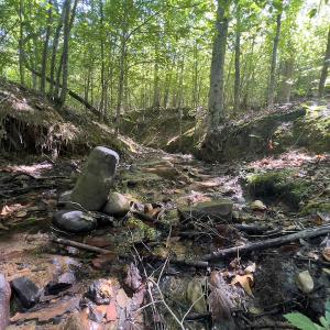 Photo #3 of SOLD property in Off Wilson Rd, Providence, NC 91.3 acres